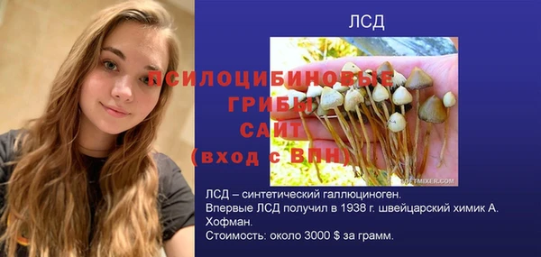 герыч Новокубанск