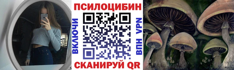 ОМГ ОМГ ONION  Кологрив  Галлюциногенные грибы ЛСД  купить  